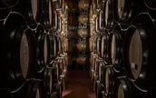 Poggio al Tesoro vintønder