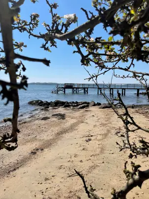 Forår ved badebroen