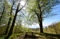 Et smukt udsigtspunkt med et bænkesæt