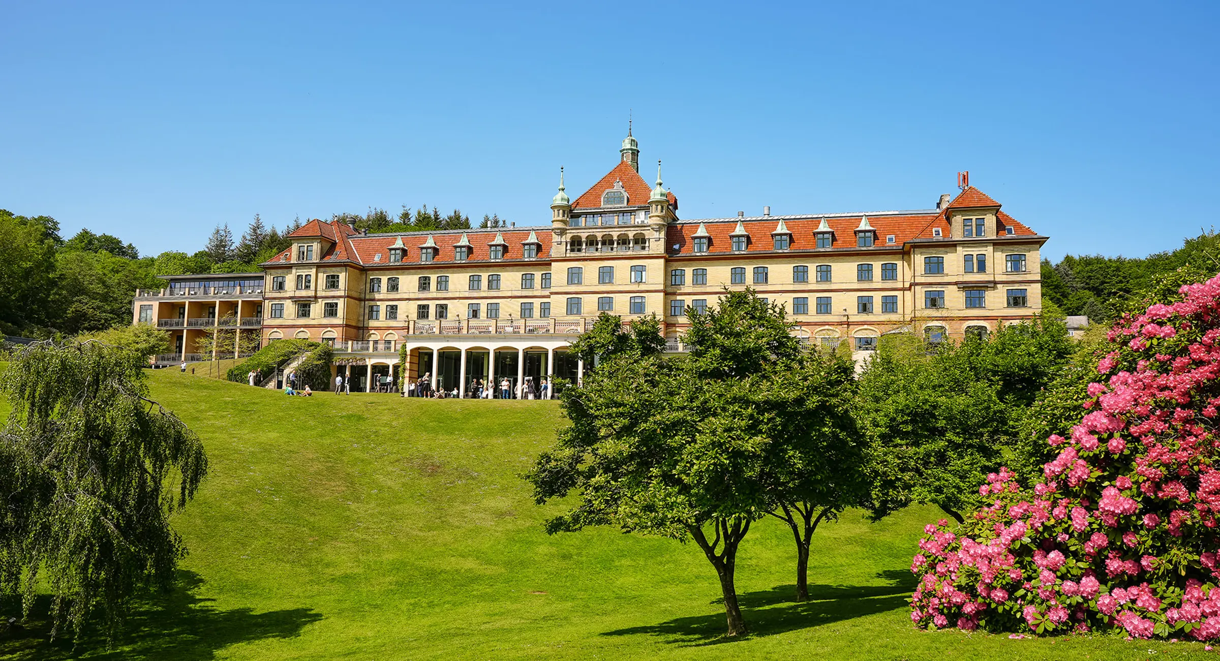 Hotel Vejlefjord set fra parken med blomstrende rhododendron i forgrunden