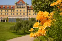 Hotel Vejlefjord omgivet af gule blomster