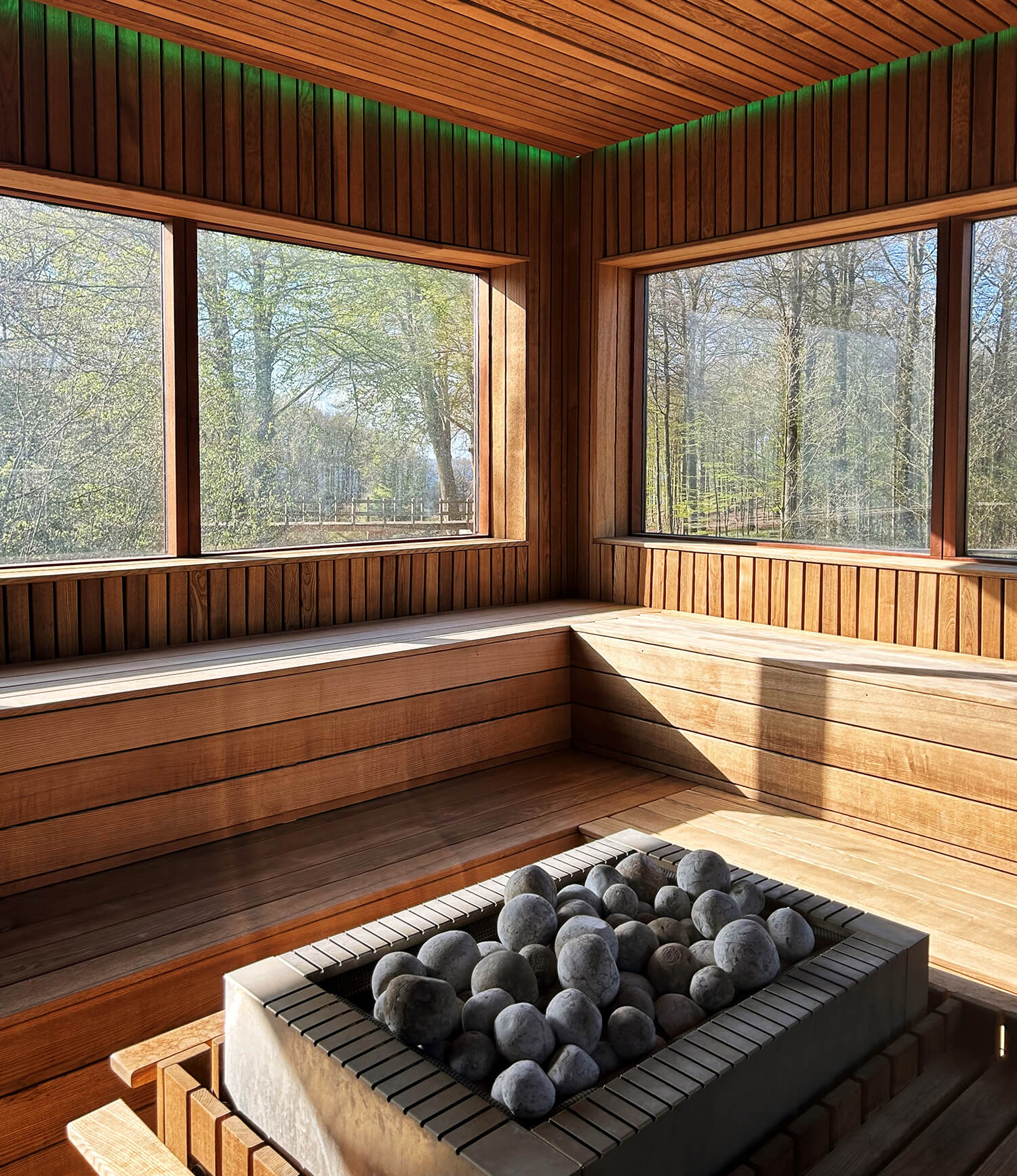 En stor sauna med vinduer og udsigt til skov