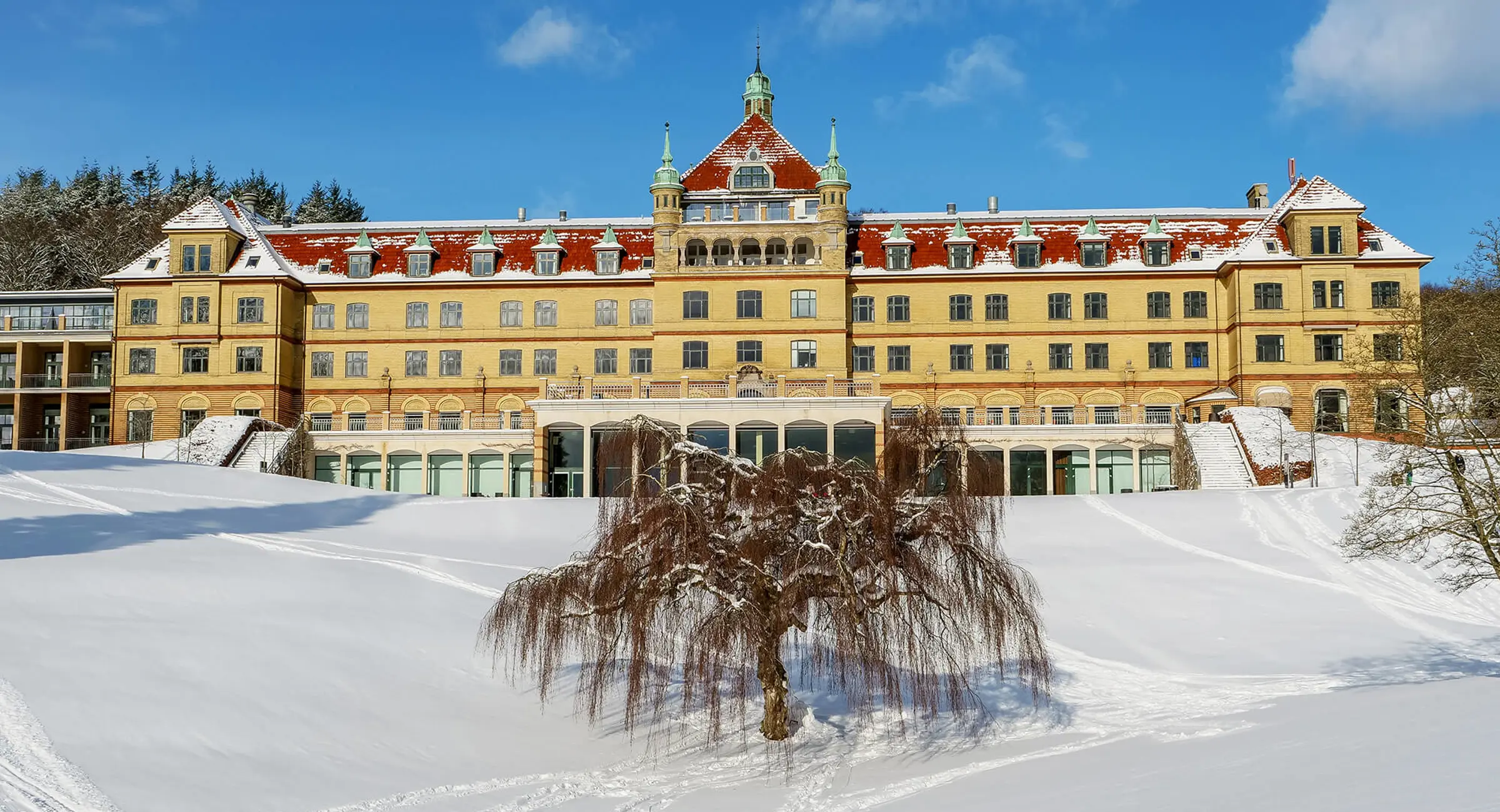 Hotellet med sne