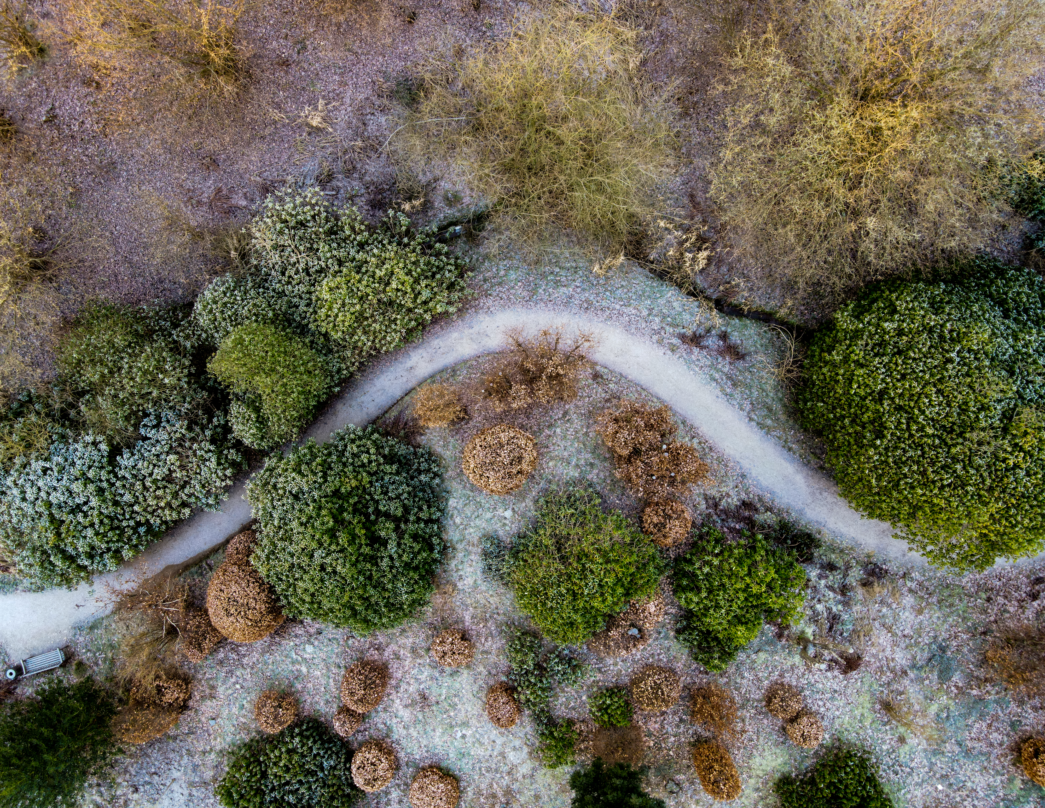 Parken set fra oven fyldt med frost i december