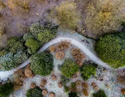 Parken set fra oven fyldt med frost i december