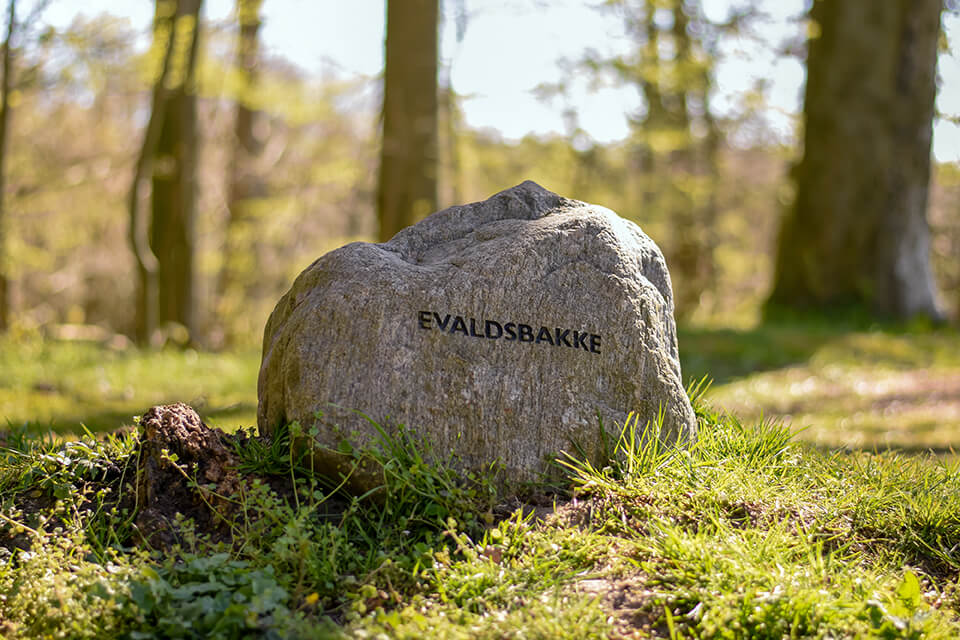 Sten med Evaldsbakke, træer og et glimt af udsigt