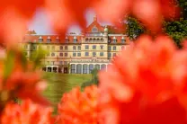 Hotel Vejlefjords historiske gule hovedbygning ses gennem orangerøde azalia blomster