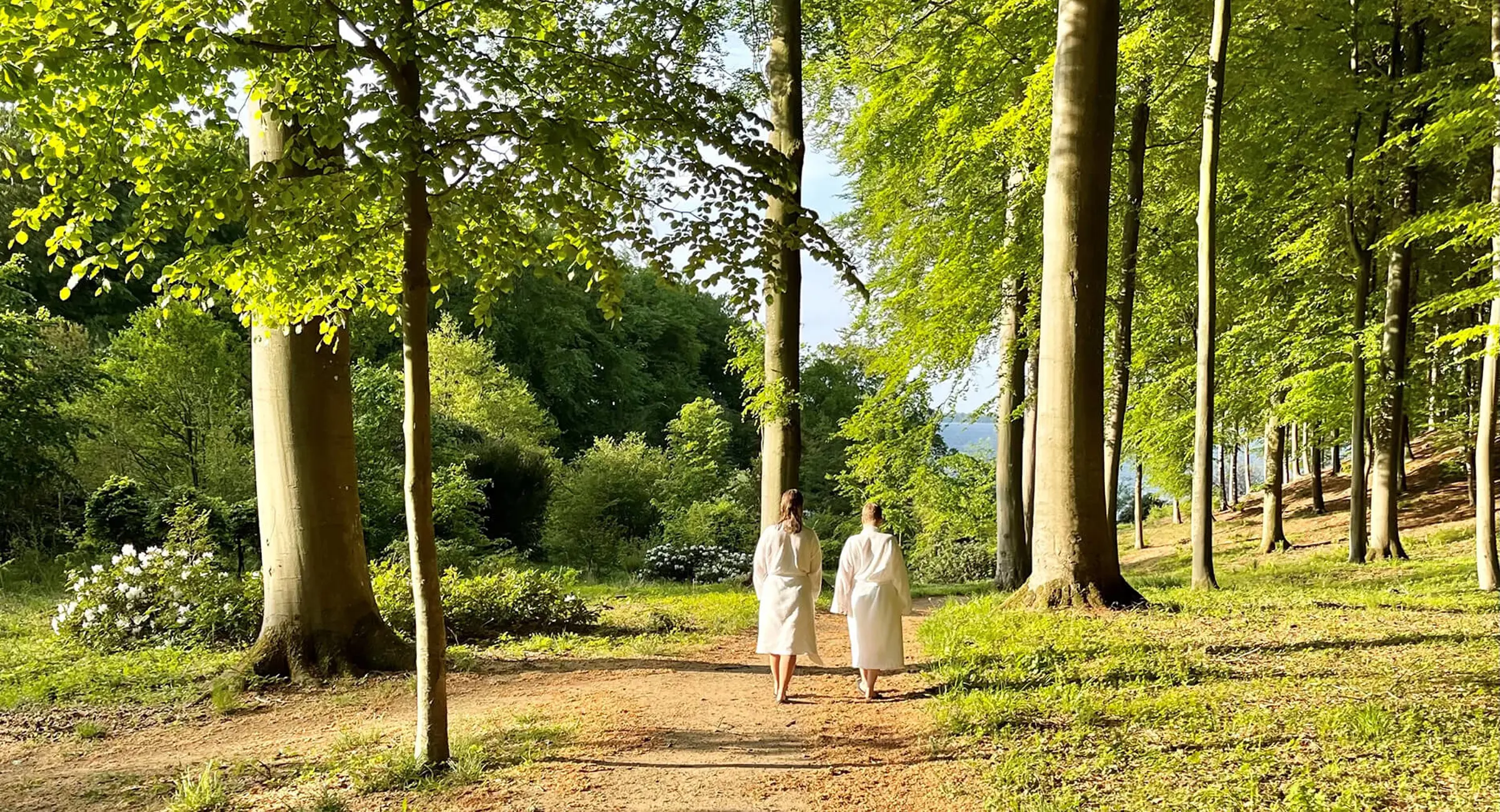 Badebro ved Vejle Fjord og blå himmel